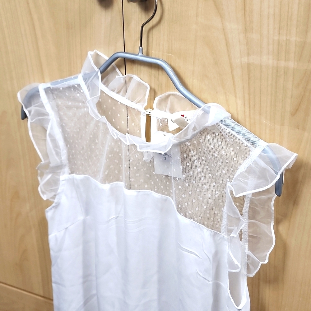 NEW Chiffon Ruffle Neck Sheer Dot Top